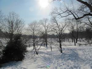 Snowy Prospect Park